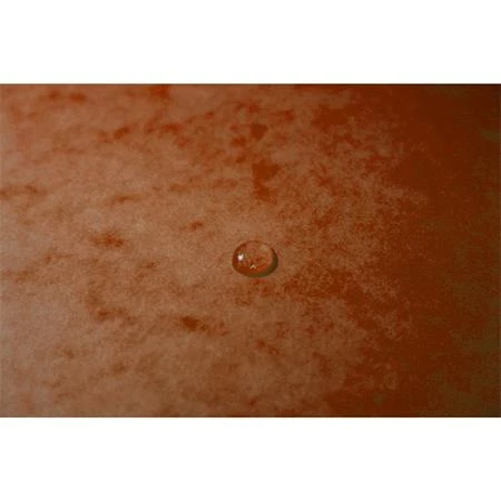 Gumis mappa A/4 EXACOMPTA karton prespán, narancssárga