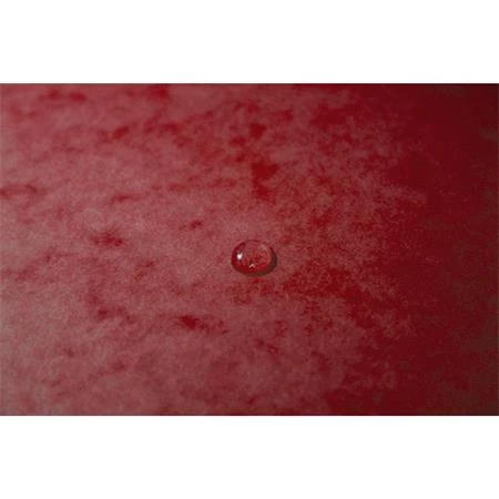 Gumis mappa A/4 EXACOMPTA karton, piros