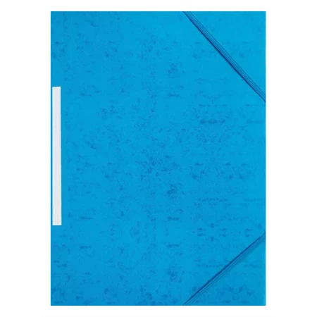 Gumis mappa A/4 BLUERING prespán, kék