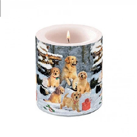 Gyertya átvilágítós AMBIENTE Golden Retriever puppies 8x7,5cm