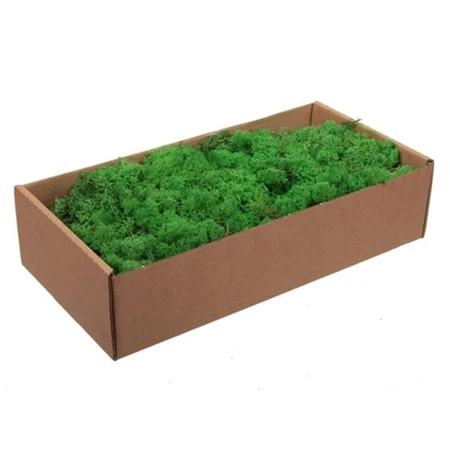 Izlandi zuzmó dobozban, 500 gr, zöld