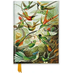Jegyzetfüzet 24,5x18cm vonalas keményfedeles mágneses Ernst Haeckel Humingbirds
