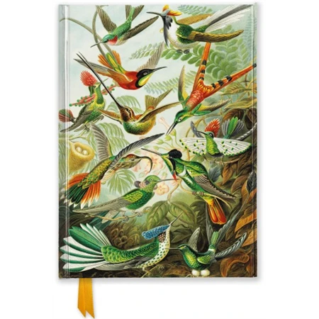 Jegyzetfüzet 24,5x18cm vonalas keményfedeles mágneses Ernst Haeckel Humingbirds