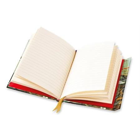 Jegyzetfüzet 24,5x18cm vonalas keményfedeles mágneses Ernst Haeckel Humingbirds