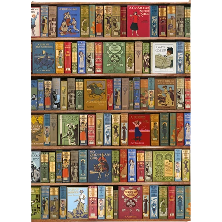 Jegyzetfüzet 24,5x18cm vonalas keményfedeles mágneses High Jinks Bookshelves