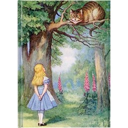 Jegyzetfüzet A/5 vonalas keményfedeles mágneses, Alice and the Cat