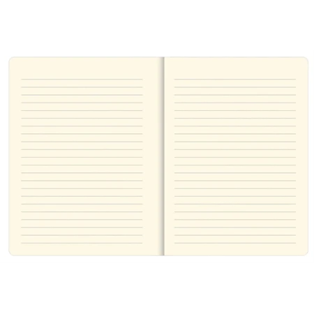 Jegyzetfüzet B/6 vonalas Peter Pauper 120 lapos keményfedeles gumis Curious Cat Journal