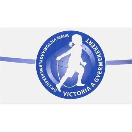 Kartondoboz  300x300x350mm