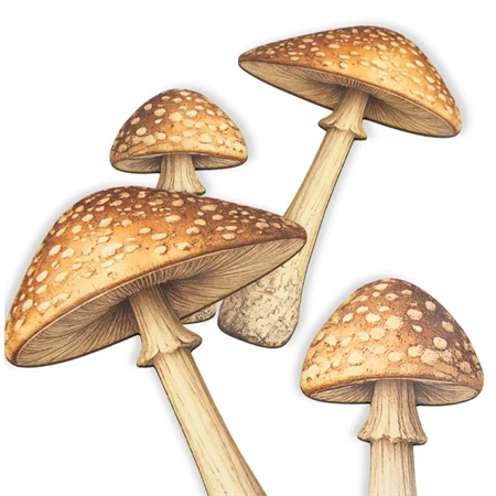 Nyomtatott dekorkarton 2mm vastag Gomba szett - barna 2db Méret: 15x8cm és 10x5cm