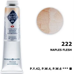 Olajfesték MASTER CLASS 46ml, Naples flesh 222