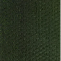 Olajfesték MASTER CLASS 46ml, Sap green 716