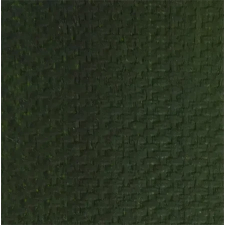 Olajfesték MASTER CLASS 46ml, Sap green 716