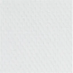 Olajfesték MASTER CLASS 46ml, Titanium white 101