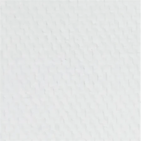Olajfesték MASTER CLASS 46ml, Titanium white 101