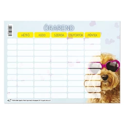 Órarend PD 165x117 mm School United