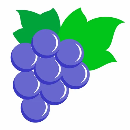 Óvodai címke, ruhára, textilre vasalható A/5 méretben 35+12 jel szőlő kék