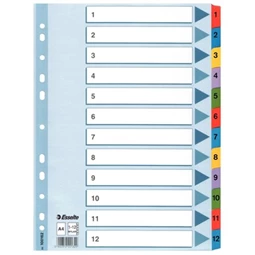 Regiszterlap 1-12 A/4 ESSELTE MYLAR