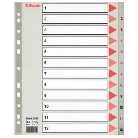 Regiszterlap 1-12 A/4 ESSELTE műanyag Maxi