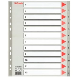 Regiszterlap 1-12 A/4 ESSELTE műanyag Maxi