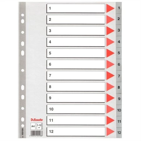 Regiszterlap 1-12 A/4 ESSELTE műanyag, szürke