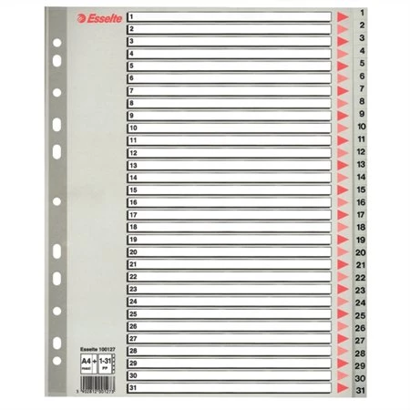 Regiszterlap 1-31 A/4 ESSELTE Maxi műanyag