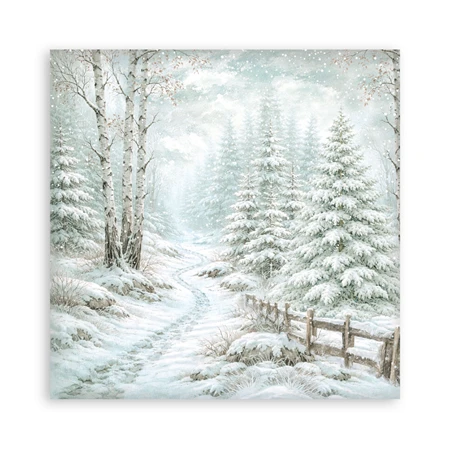 Scrapbook papír album 30,5x30,5cm 10lapos White Christmas backrounds