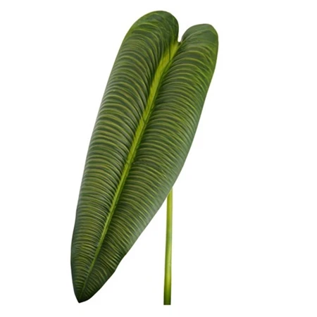 Selyemvirág Anthurium levél 81cm zöld