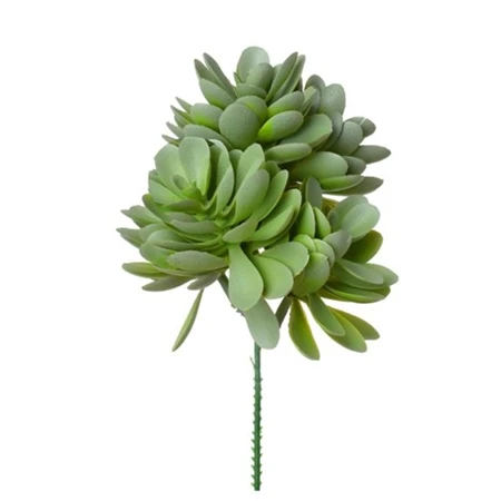 Selyemvirág Echeveria betűzős műanyag 19cm zöld