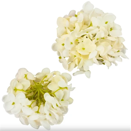 Selyemvirág Hortenzia virágfej 10cm fehér