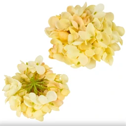 Selyemvirág Hortenzia virágfej 10cm krém