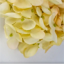 Selyemvirág Hortenzia virágfej 10cm krém