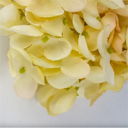 Selyemvirág Hortenzia virágfej 10cm krém