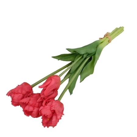 Selyemvirág papagáj tulipán gumi 47cm málnapiros 5 szálas