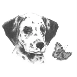 Skiccrajz grafikai rajzkészlet 12x18cm Royal Langnickel eszközökkel Dalmata kölyök