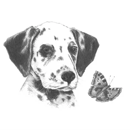 Skiccrajz grafikai rajzkészlet 12x18cm Royal Langnickel eszközökkel Dalmata kölyök