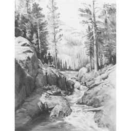 Skiccrajz grafikai rajzkészlet 22x30cm Royal Langnickel eszközökkel Erdő