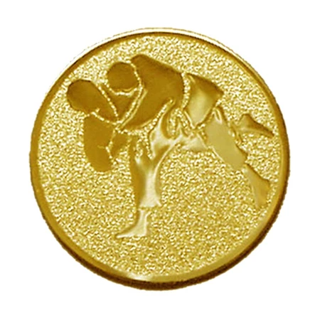 Sport érembetét 25mm judo 1 arany