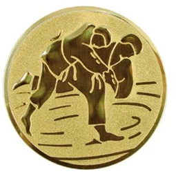 Sport érembetét 25mm judo 2 arany