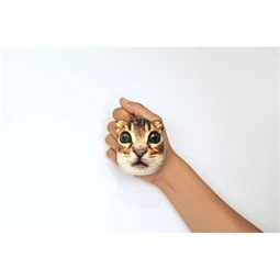 Stresszlabda, macskás