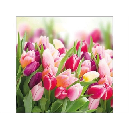 Szalvéta 1db 25x25cm Glorious Tulips, Dicső Tulipánok