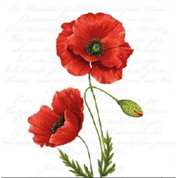 Szalvéta 1db 25x25cm Proud Poppy, Pompás pipacs