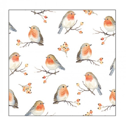 Szalvéta 1db 25x25cm ROBIN FAMILY, Madár család