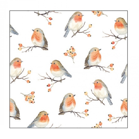 Szalvéta 1db 25x25cm ROBIN FAMILY, Madár család