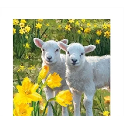 Szalvéta 1db 25x25cm Sweet Lambs, Édes bárányok