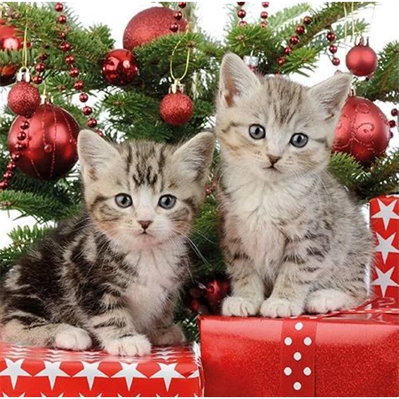 Szalvéta 1db  33x33cm Christmas Kitten, Karácsonyi Cica