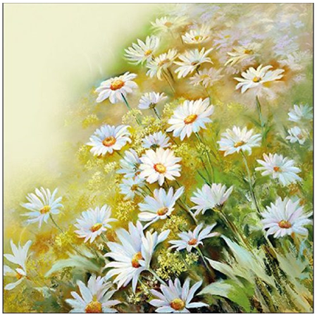 Szalvéta 1db 33x33cm Faces the sun, Arcal a napnak