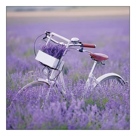 Szalvéta 1db 33x33cm Lavender Field, Levendula mező