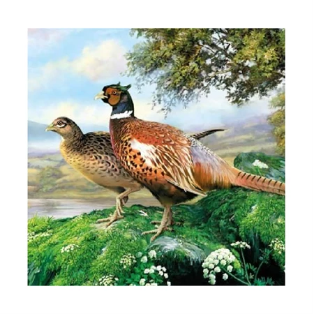 Szalvéta 1db 33x33cm Pheasant , Fácán