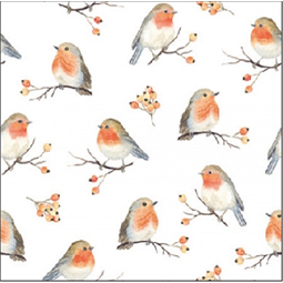 Szalvéta 1db 33x33cm ROBIN FAMILY, Madár család