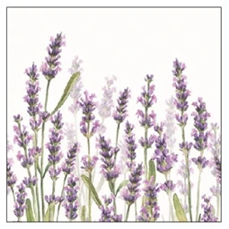 Szalvéta 25x25cm 20db/csomag Levander Shades